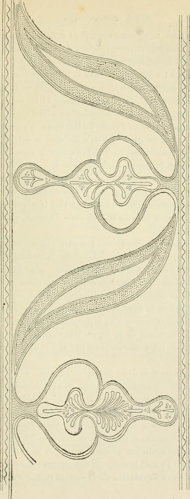 An illustration from Revue archéologique, 1844, leaf 408