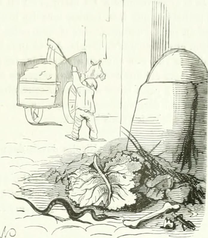 An illustration from Revue comique à l'usage des gens sérieux, 1848, leaf 106