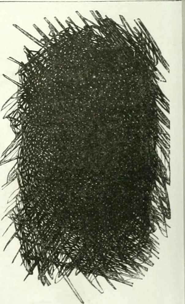 An illustration from Revue comique à l'usage des gens sérieux, 1848, leaf 317