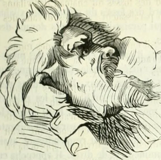 An illustration from Revue comique à l'usage des gens sérieux, 1848, leaf 516