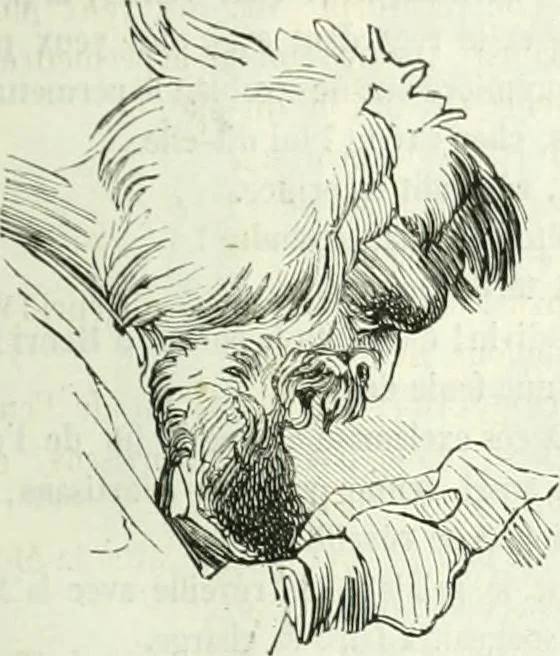 An illustration from Revue comique à l'usage des gens sérieux, 1848, leaf 516