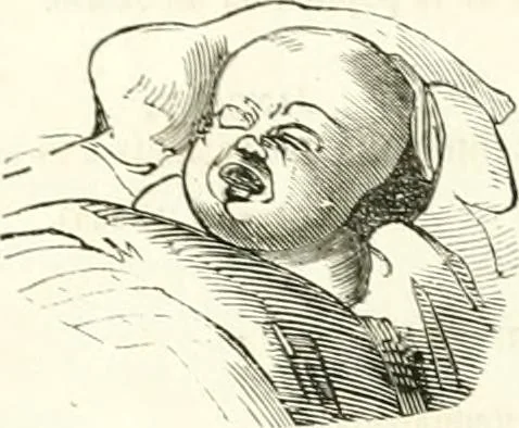 An illustration from Revue comique à l'usage des gens sérieux, 1848, leaf 619