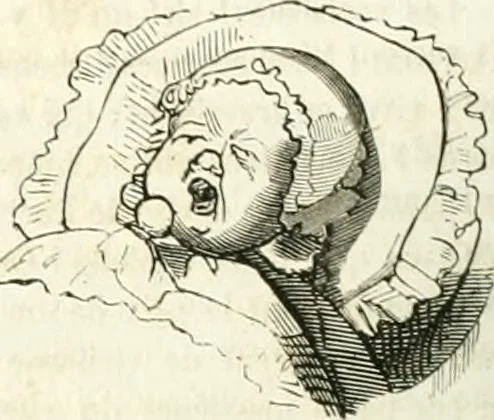 An illustration from Revue comique à l'usage des gens sérieux, 1848, leaf 619