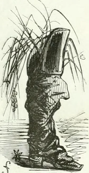 An illustration from Revue comique à l'usage des gens sérieux, 1848, leaf 66
