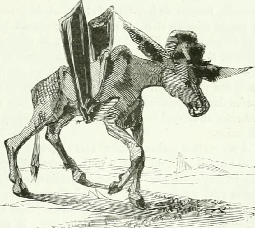 An illustration from Revue comique à l'usage des gens sérieux, 1848, leaf 96