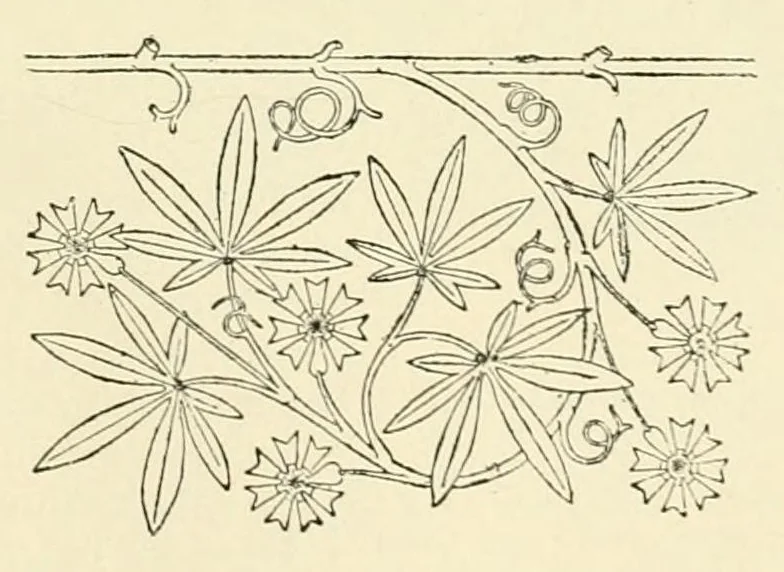 An illustration from Revue de l'art chrétien, 1857, leaf 205