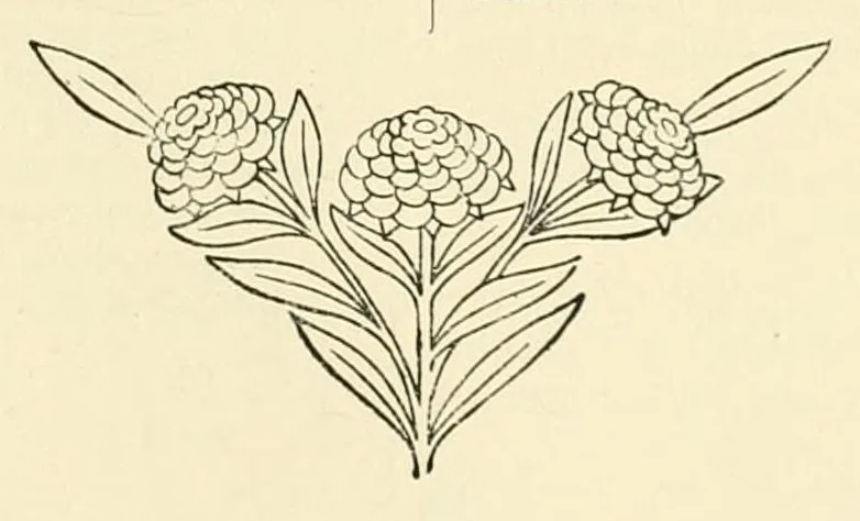 An illustration from Revue de l'art chrétien, 1857, leaf 303