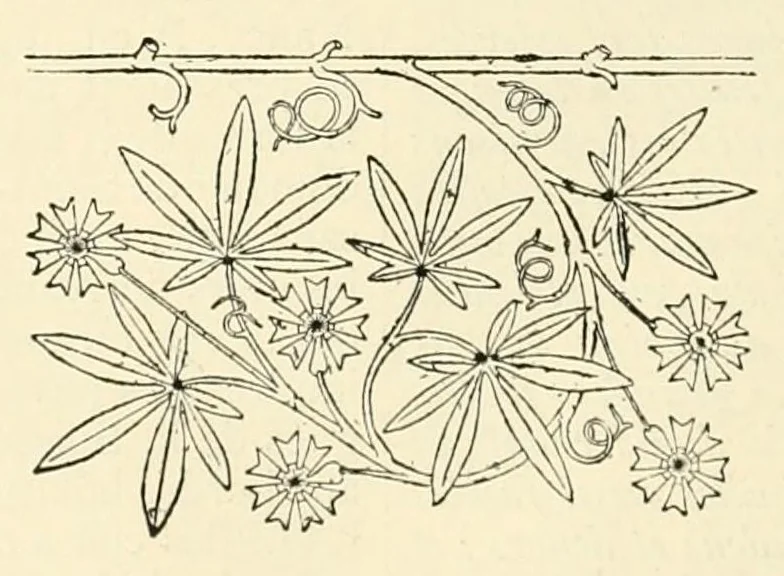 An illustration from Revue de l'art chrétien, 1857, leaf 312