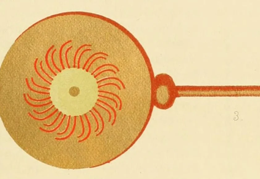 An illustration from Revue de l'art chrétien, 1857, leaf 547