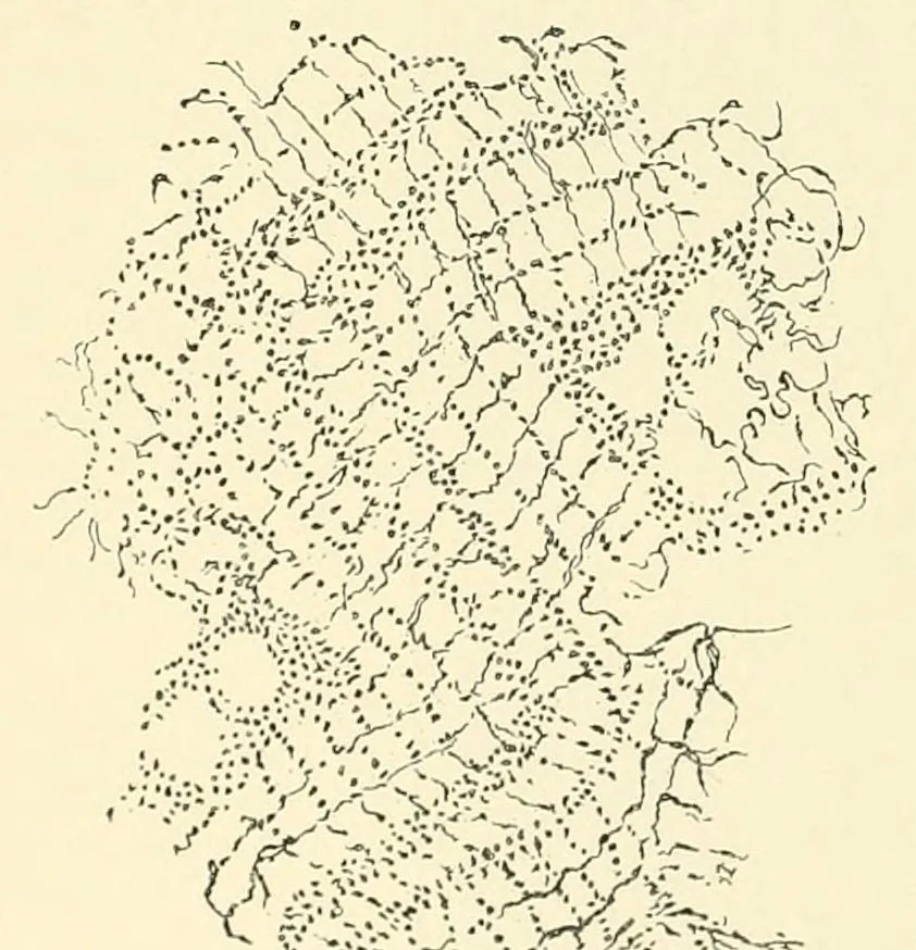 An illustration from Revue de l'art chrétien, 1857, leaf 142