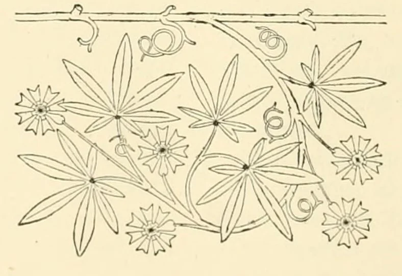 An illustration from Revue de l'art chrétien, 1857, leaf 388