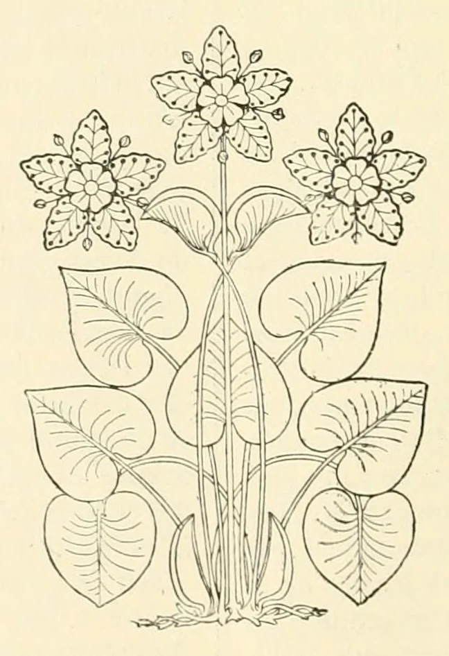 An illustration from Revue de l'art chrétien, 1857, leaf 234