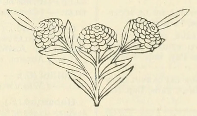 An illustration from Revue de l'art chrétien, 1857, leaf 195