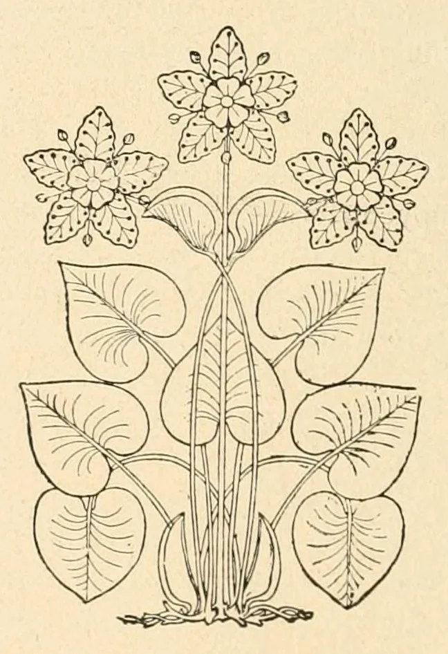 An illustration from Revue de l'art chrétien, 1857, leaf 206