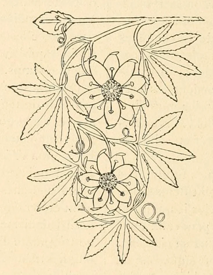 An illustration from Revue de l'art chrétien, 1857, leaf 222
