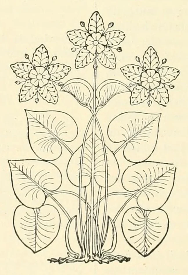 An illustration from Revue de l'art chrétien, 1857, leaf 368