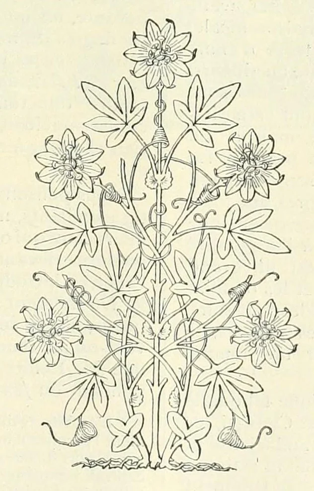 An illustration from Revue de l'art chrétien, 1857, leaf 451