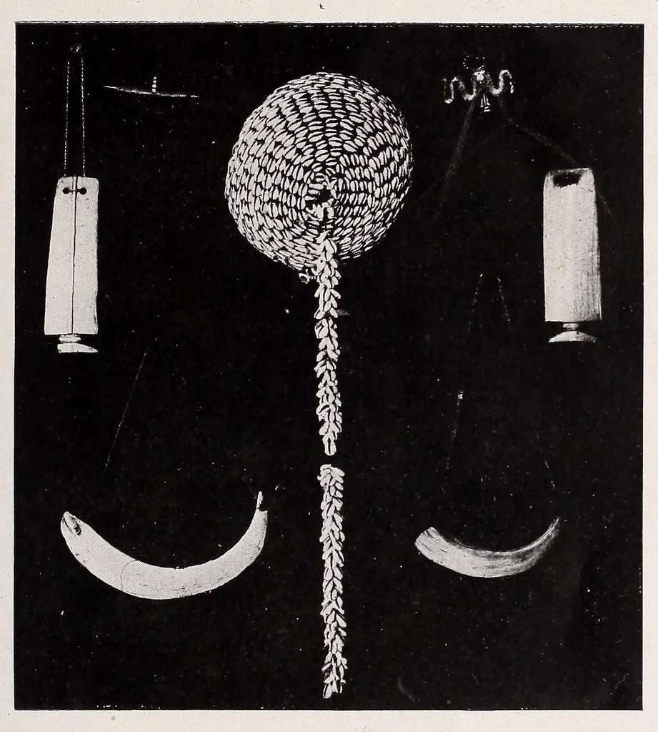 An illustration from Revue d'ethnographie et de sociologie, 1910, leaf 281