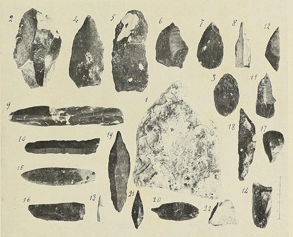 An illustration from Revue d'ethnographie et de sociologie, 1910, leaf 11