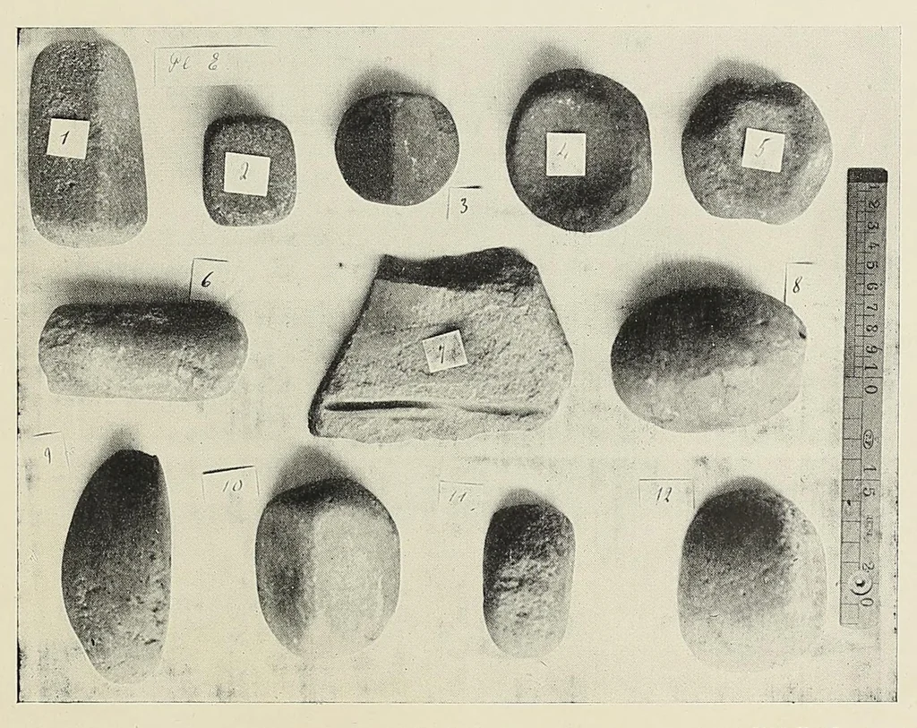 An illustration from Revue d'ethnographie et de sociologie, 1910, leaf 19