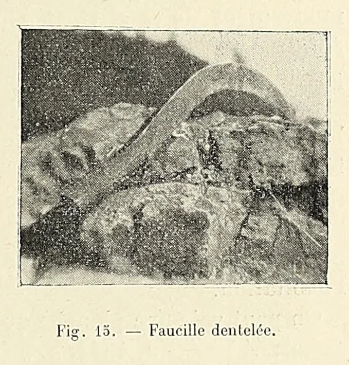 An illustration from Revue d'ethnographie et de sociologie, 1910, leaf 119