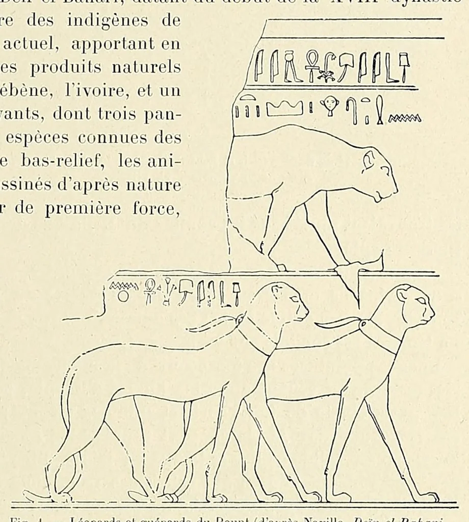 An illustration from Revue d'ethnographie et de sociologie, 1910, leaf 89