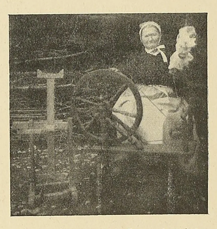 An illustration from Revue d'ethnographie et de sociologie, 1910, leaf 56