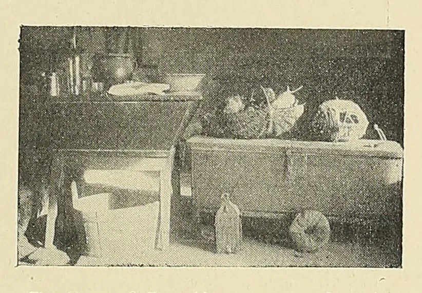 An illustration from Revue d'ethnographie et de sociologie, 1910, leaf 71