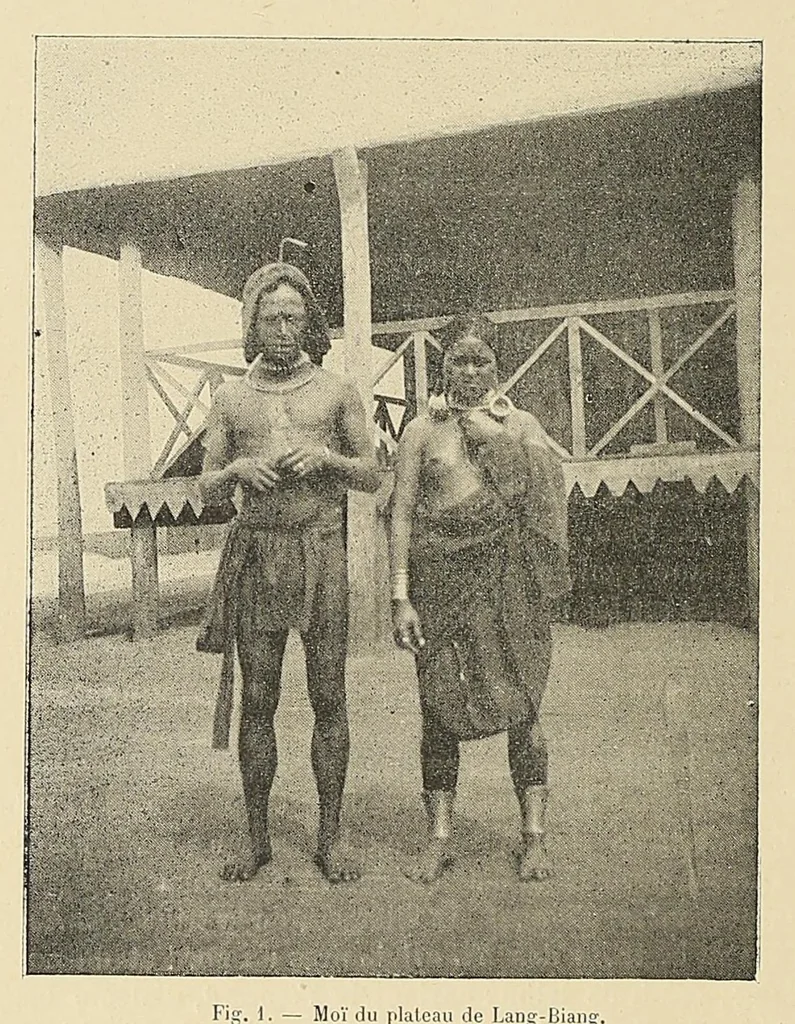 An illustration from Revue d'ethnographie et de sociologie, 1910, leaf 22