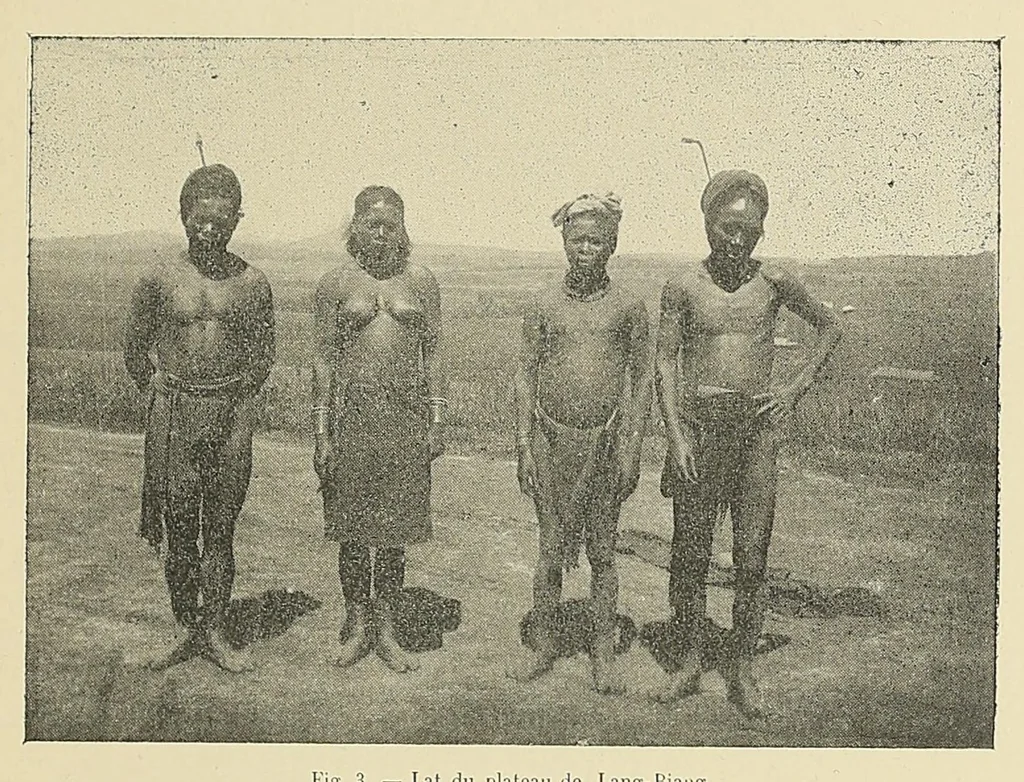 An illustration from Revue d'ethnographie et de sociologie, 1910, leaf 29