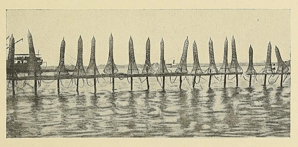 An illustration from Revue d'ethnographie et de sociologie, 1910, leaf 79