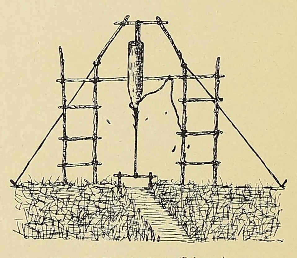 An illustration from Revue d'ethnographie et de sociologie, 1910, leaf 80