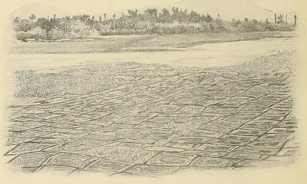 An illustration from Revue d'ethnographie et de sociologie, 1910, leaf 12