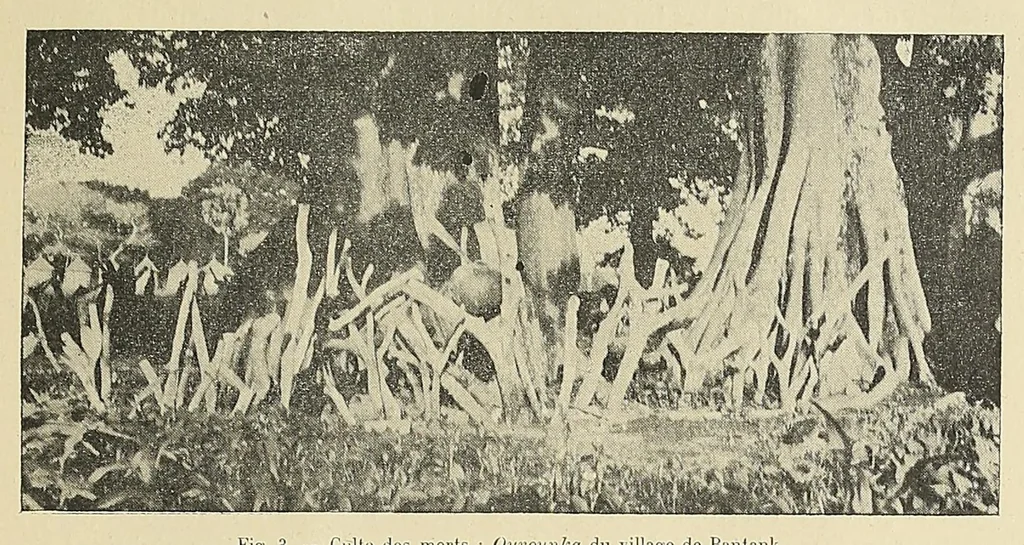 An illustration from Revue d'ethnographie et de sociologie, 1910, leaf 39