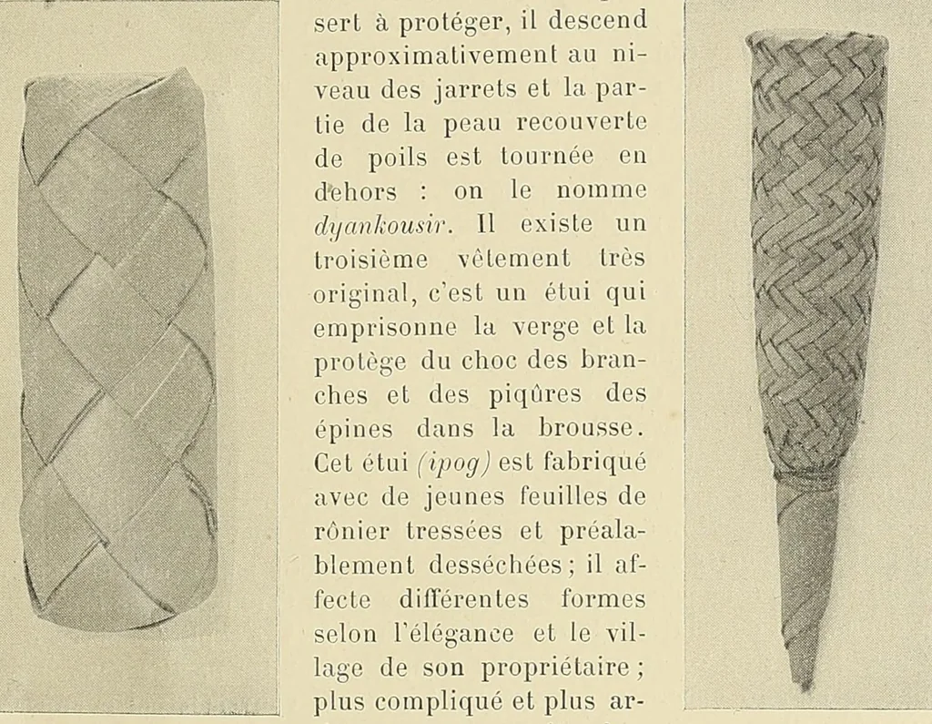 An illustration from Revue d'ethnographie et de sociologie, 1910, leaf 41