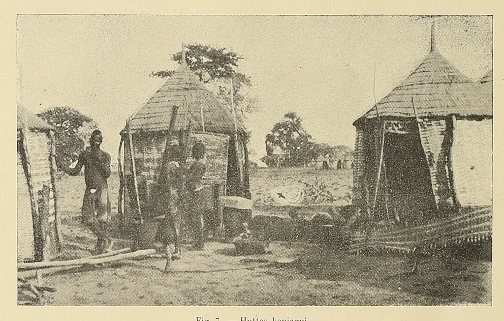 An illustration from Revue d'ethnographie et de sociologie, 1910, leaf 46