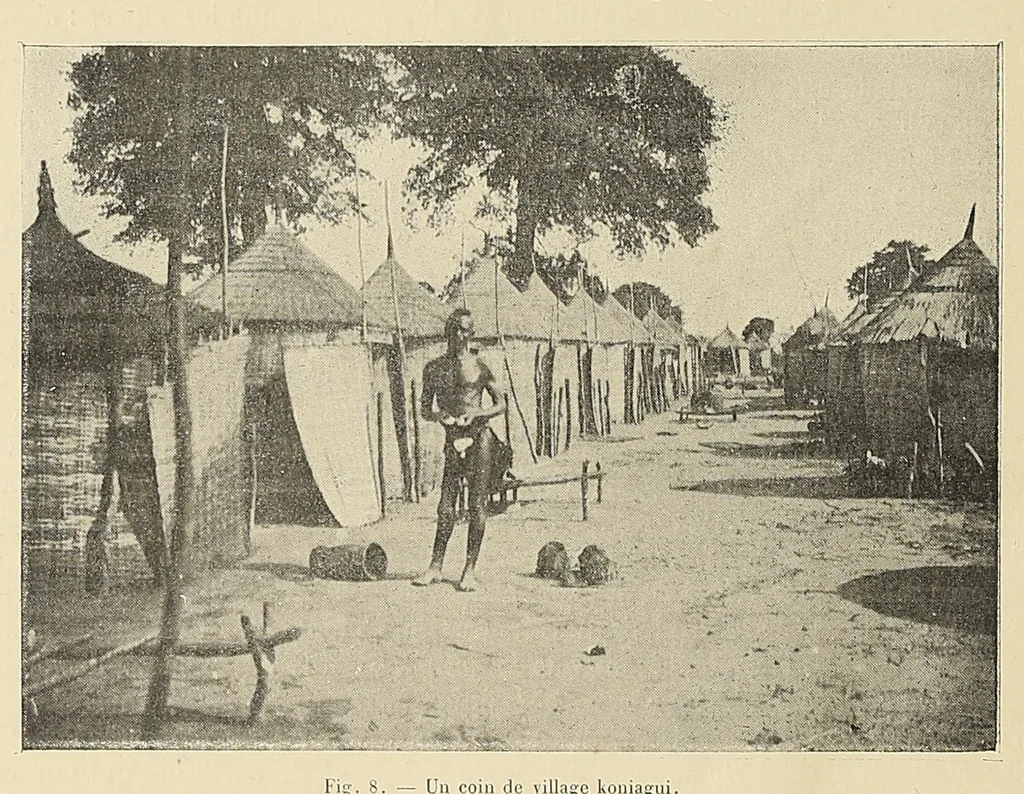 An illustration from Revue d'ethnographie et de sociologie, 1910, leaf 48