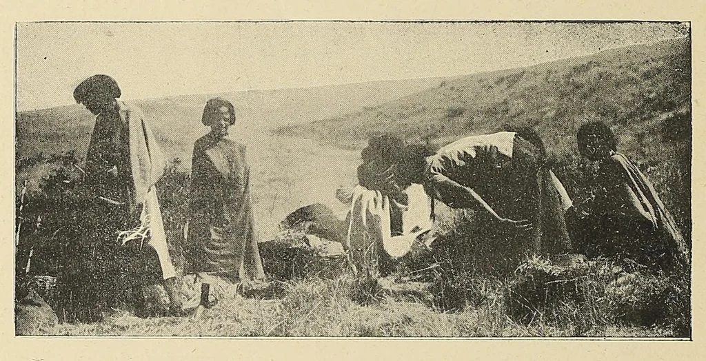 An illustration from Revue d'ethnographie et de sociologie, 1910, leaf 52