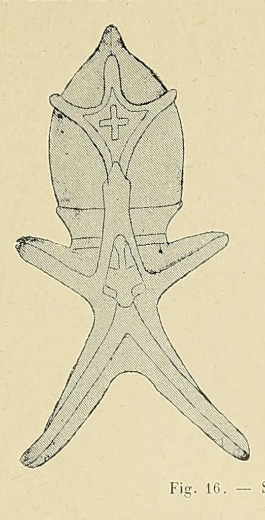 An illustration from Revue d'ethnographie et de sociologie, 1910, leaf 77