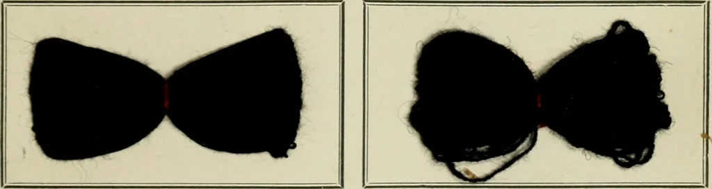 An illustration from Revue générale des mati`eres colorantes et des industries qui s'y rattachent, 1908, leaf 230