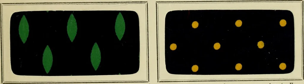 An illustration from Revue générale des mati`eres colorantes et des industries qui s'y rattachent, 1908, leaf 32