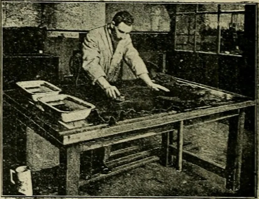 An illustration from Revue générale des mati`eres colorantes et des industries qui s'y rattachent, 1908, leaf 407