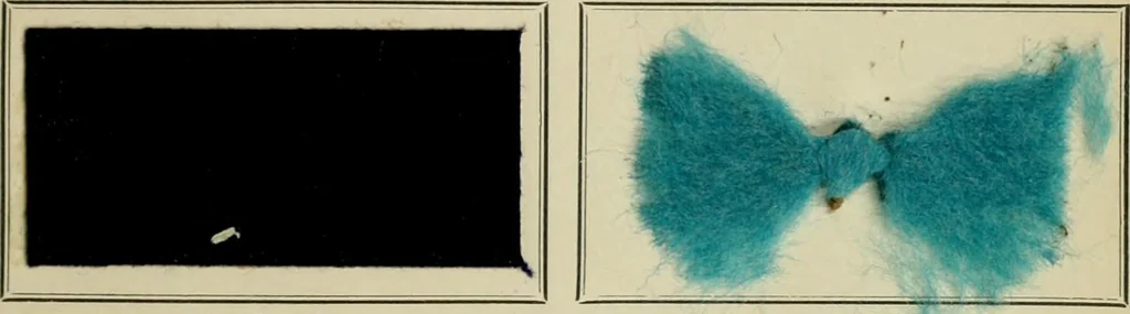 An illustration from Revue générale des mati`eres colorantes et des industries qui s'y rattachent, 1908, leaf 42