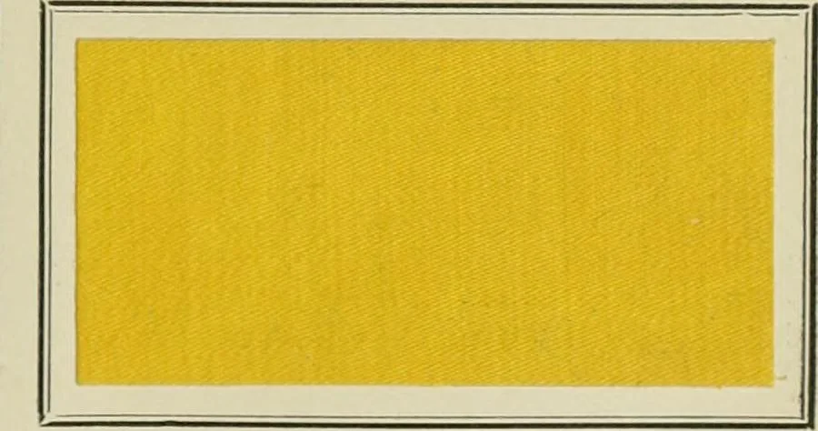 An illustration from Revue générale des mati`eres colorantes et des industries qui s'y rattachent, 1908, leaf 42