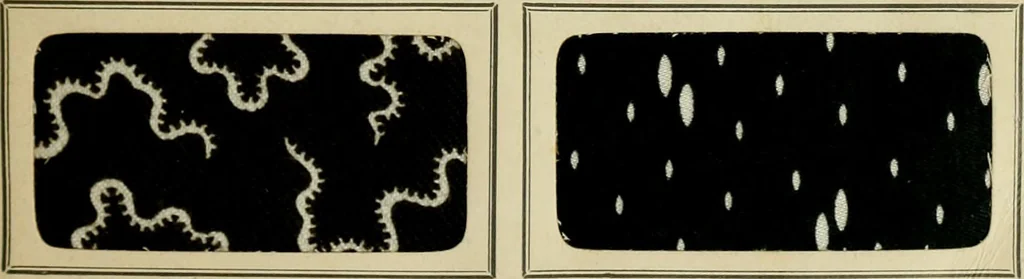An illustration from Revue générale des mati`eres colorantes et des industries qui s'y rattachent, 1908, leaf 24