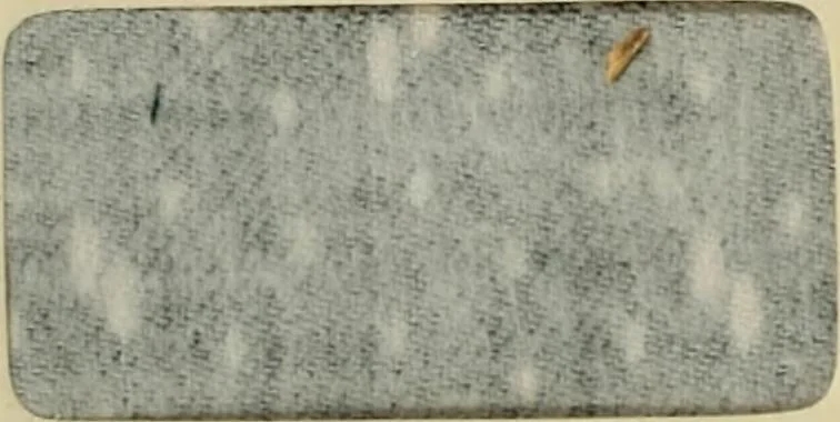 An illustration from Revue générale des mati`eres colorantes et des industries qui s'y rattachent, 1908, leaf 25