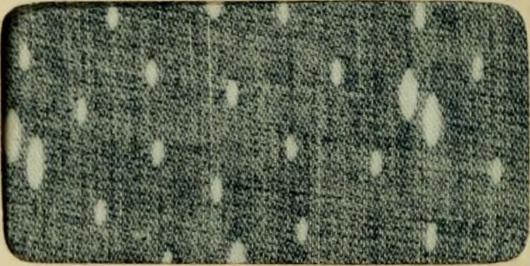 An illustration from Revue générale des mati`eres colorantes et des industries qui s'y rattachent, 1908, leaf 25