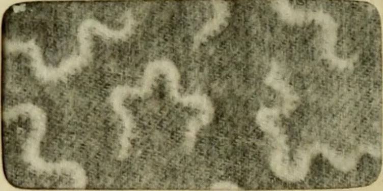 An illustration from Revue générale des mati`eres colorantes et des industries qui s'y rattachent, 1908, leaf 25