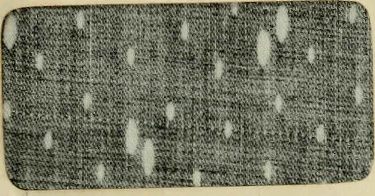An illustration from Revue générale des mati`eres colorantes et des industries qui s'y rattachent, 1908, leaf 25