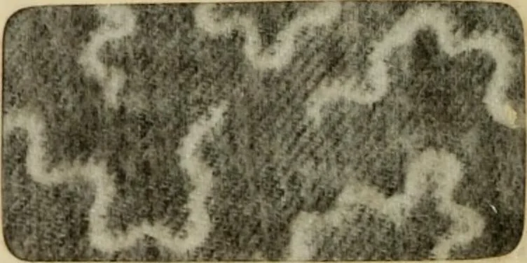 An illustration from Revue générale des mati`eres colorantes et des industries qui s'y rattachent, 1908, leaf 25